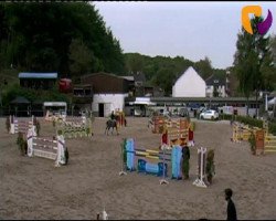 Pferd Arera Utopia (KWPN (Niederländisches Warmblut), 2005, von Sydney)