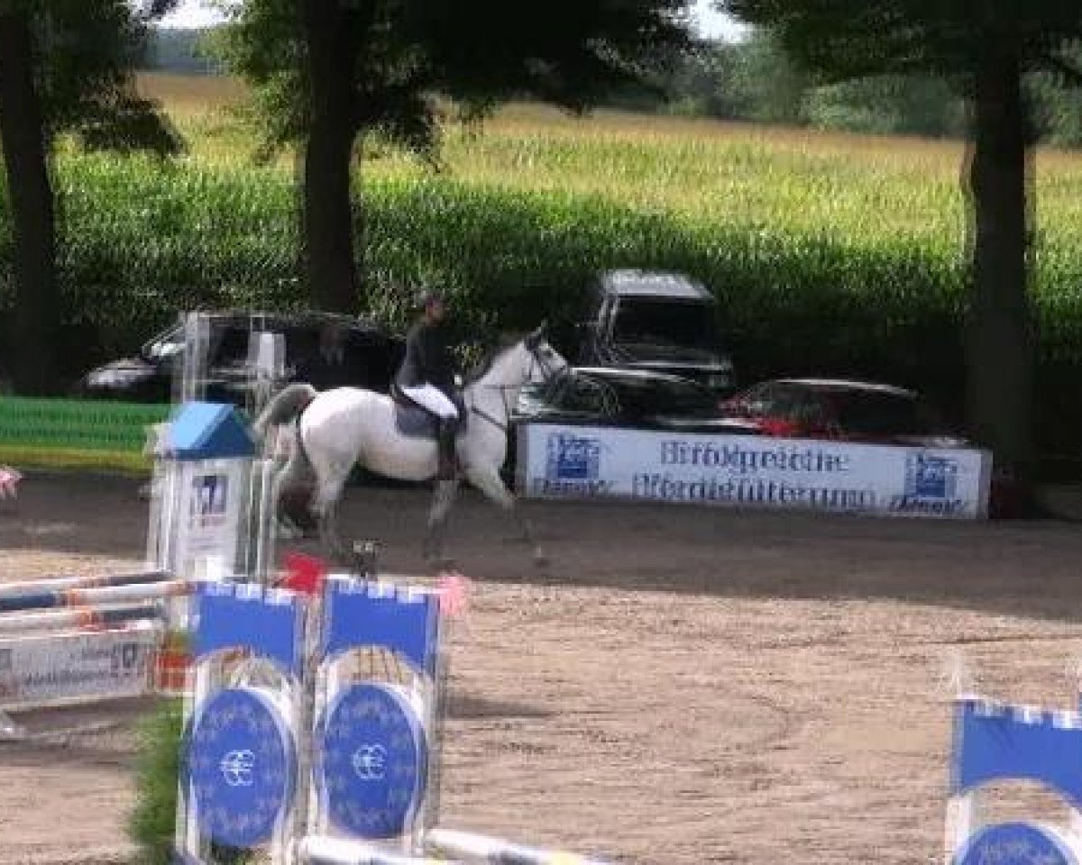 Zuchtstute Cinderella (Westfale, 1999, von Coronino) - Reit- und Springturnier des LRFV Recklinghausen e.V. vom 23.-26.08.2012 25.08.2012
08 Springwettbewerb Kl E mit 1 Schikane
