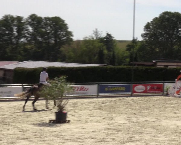 Reitturnier Immenrode 2022