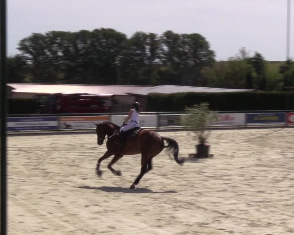 Reitturnier Immenrode 2022