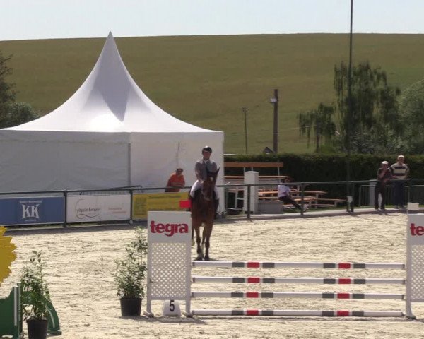 Reitturnier Immenrode 2022