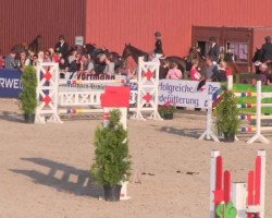 broodmare Raika 98 (Westphalian, 1999, from Rombach)
