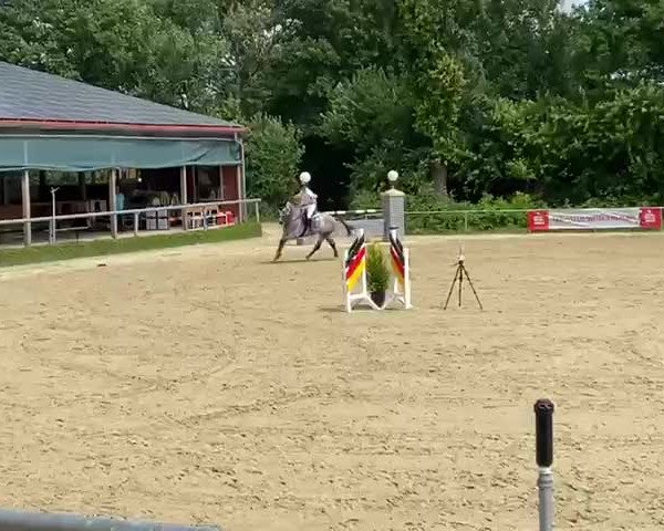 Video of Chrash