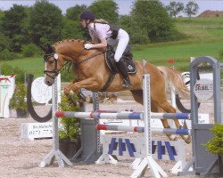 jumper Kariero (Polish Warmblood, 2005, from Cajero)