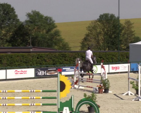 Reitturnier Immenrode 2022