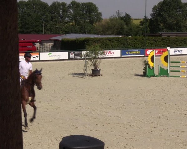 Reitturnier Immenrode 2022