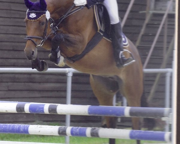 jumper Renesmee (Holsteiner, 2005)