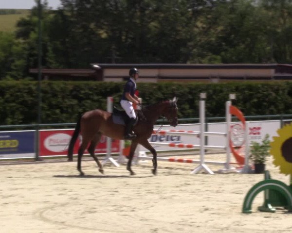 Reitturnier Immenrode 2022