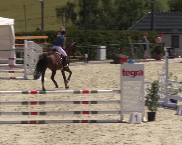 Reitturnier Immenrode 2022