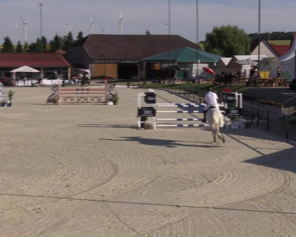 Reitturnier Immenrode 2022