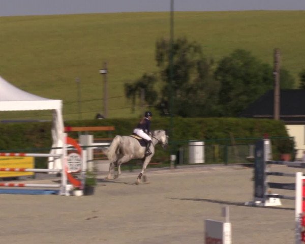 Reitturnier Immenrode 2022