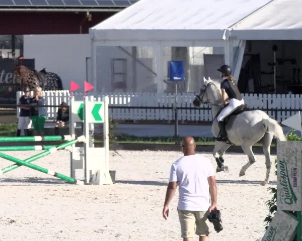 Reitturnier Gossau 2022