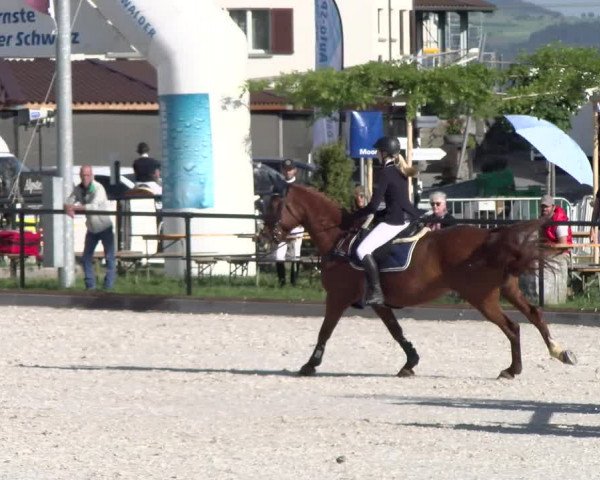 Reitturnier Gossau 2022