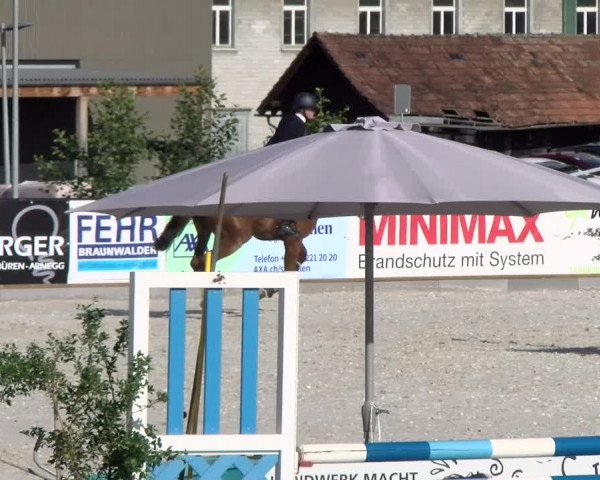 Reitturnier Gossau 2022