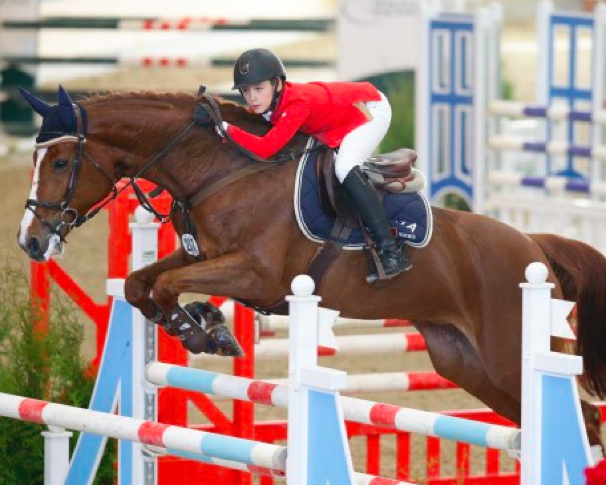 broodmare Evelyn (Oldenburg show jumper, 2005)