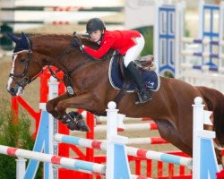 broodmare Evelyn (Oldenburg show jumper, 2005)