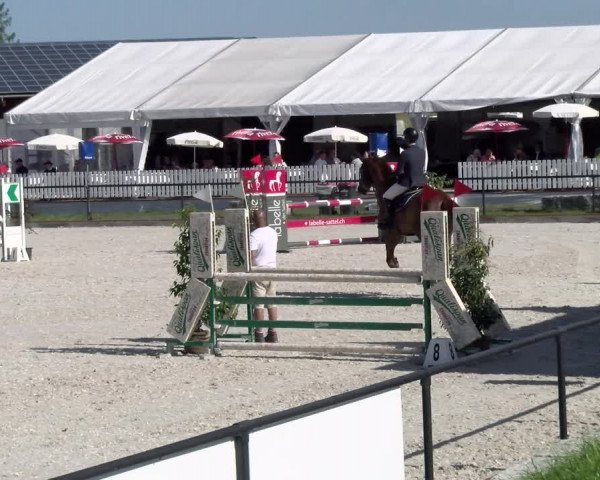 Reitturnier Gossau 2022