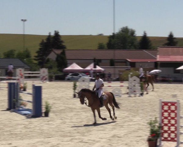Reitturnier Immenrode 2022