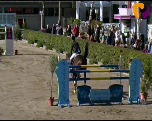 jumper Cassius Von Nymphenburg (Oldenburg, 2004, from Clay)