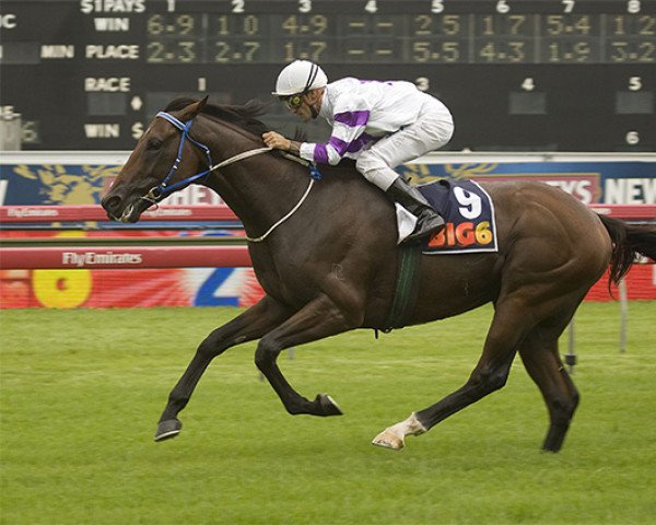 stallion Tobique xx (Thoroughbred, 2005, from Redoute's Choice xx)