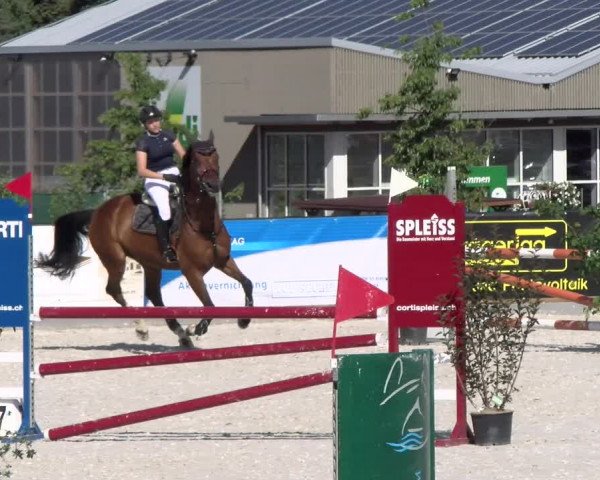 Reitturnier Gossau 2022