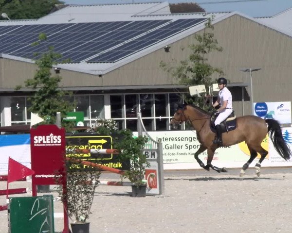Reitturnier Gossau 2022