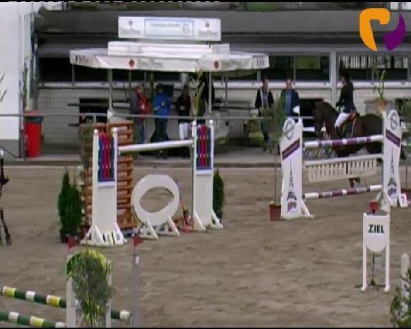 broodmare Luzi 28 (Hanoverian, 2002, from Le Primeur)