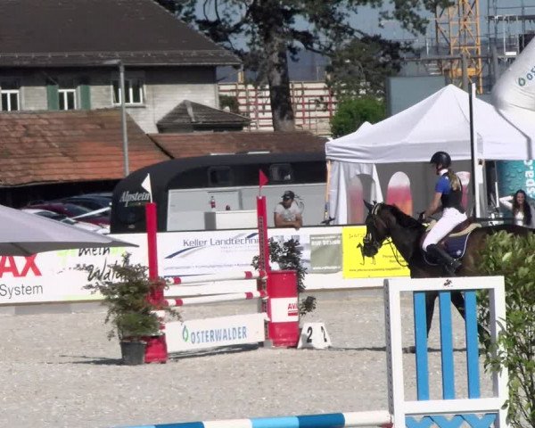 Reitturnier Gossau 2022