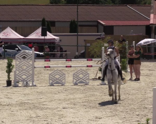 Reitturnier Immenrode 2022