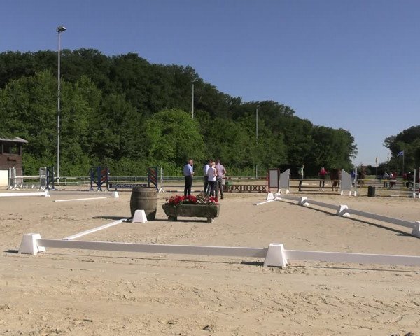 Stutenleistungsprüfung in Münster-Albachten 2022