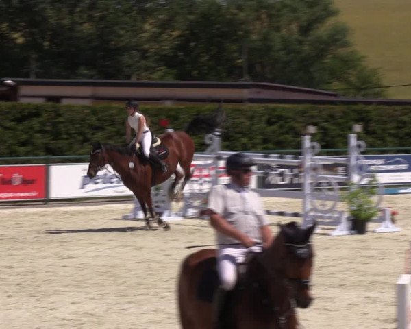 Reitturnier Immenrode 2022