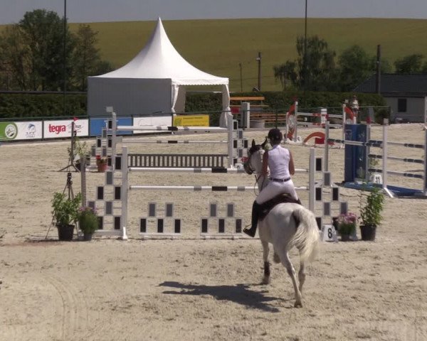 Reitturnier Immenrode 2022