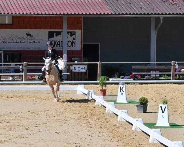 Reitturnier Uder, Reitanlage Kobold 2022