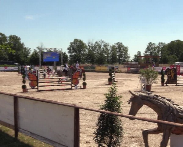 Reitturnier Pausin 2022