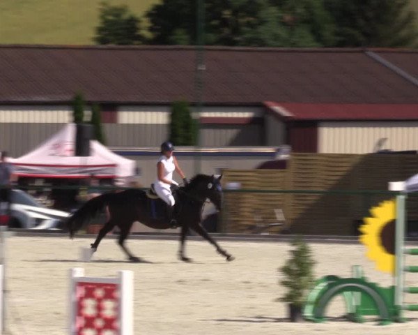 Reitturnier Immenrode 2022