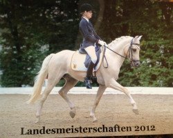 Deckhengst Steendiek's Dollarprinz (Deutsches Reitpony, 2005, von Donnertraum 2)