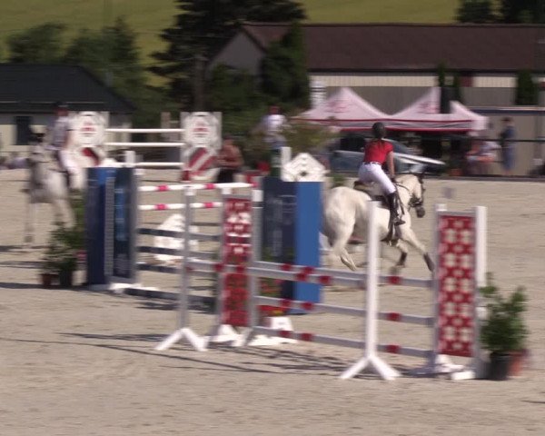 Reitturnier Immenrode 2022