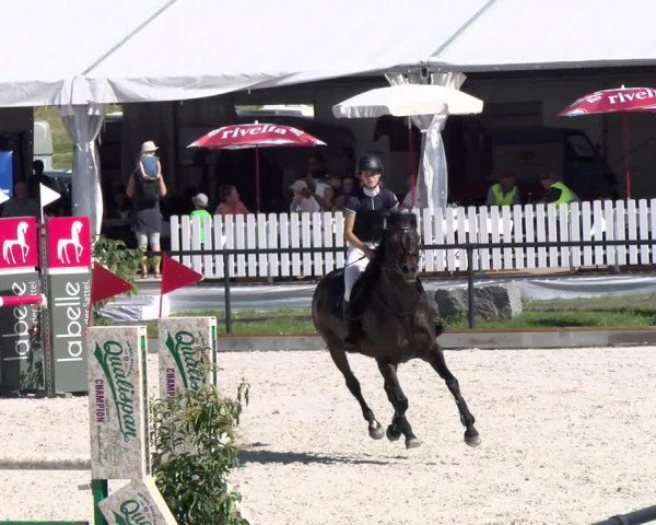 Reitturnier Gossau 2022