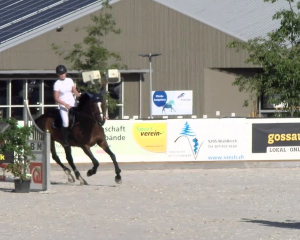 Reitturnier Gossau 2022