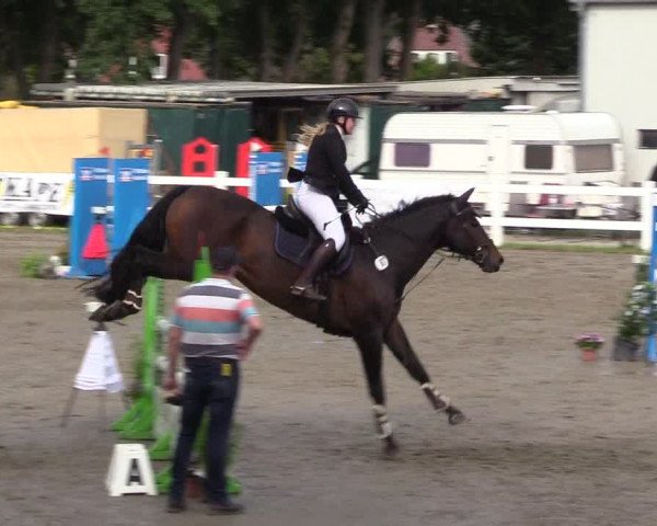 Springturnier Mildstedt 2021