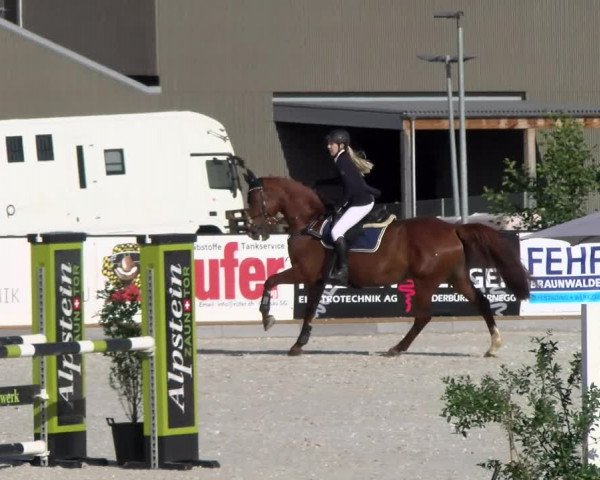 Reitturnier Gossau 2022