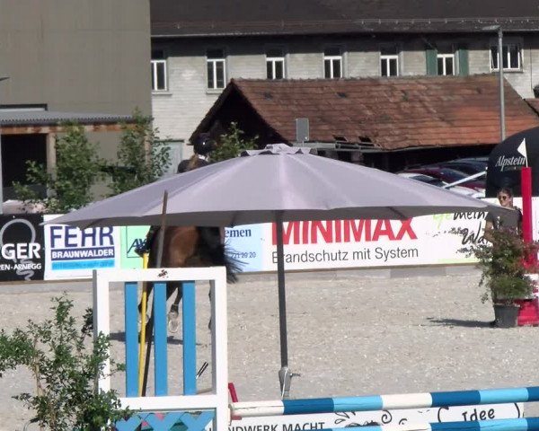 Reitturnier Gossau 2022