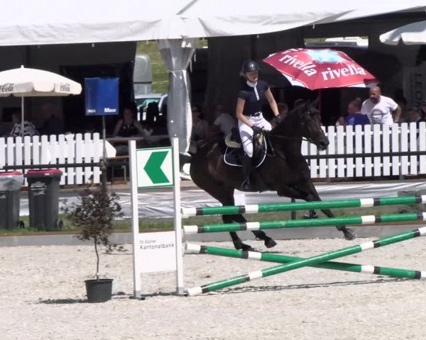 Reitturnier Gossau 2022