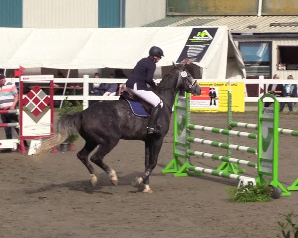Springturnier Mildstedt 2021
