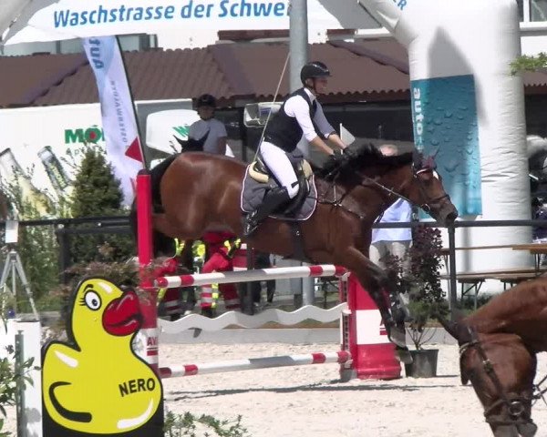 Reitturnier Gossau 2022