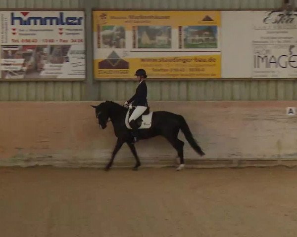 Reitturnier Bad Windsheim/Mfr. 2022