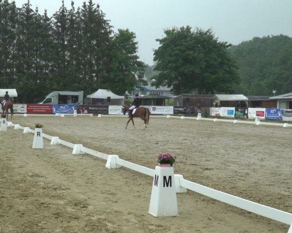 Reitturnier Bad Marienberg - OT Nisterau 2022