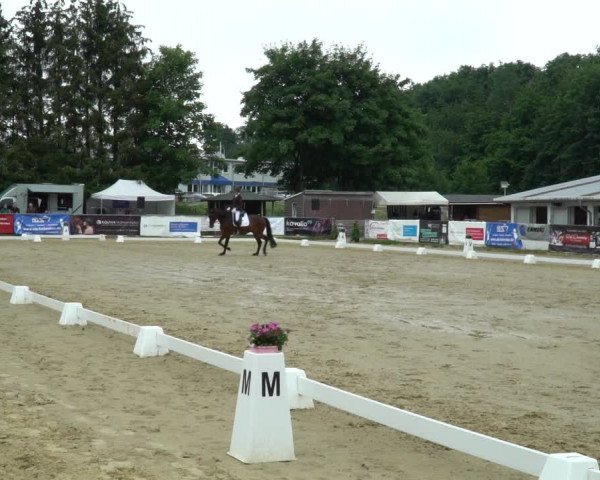 Reitturnier Bad Marienberg - OT Nisterau 2022