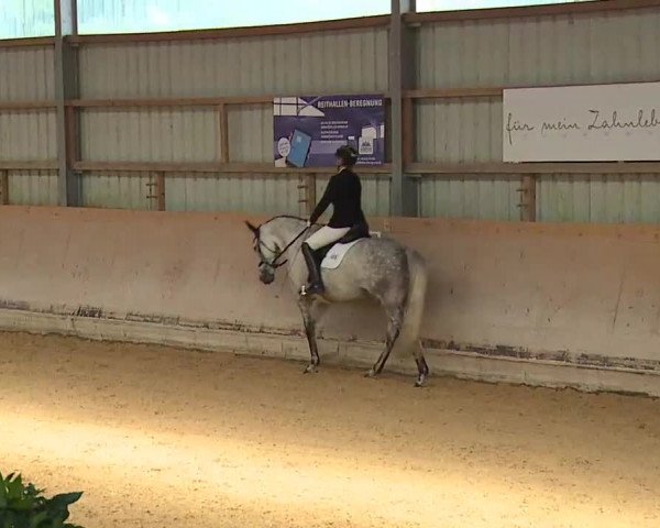Reitturnier Bad Windsheim/Mfr. 2022