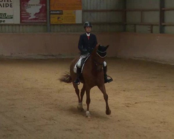 Reitturnier Bad Windsheim/Mfr. 2022